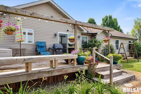 603 Willows Ave, Chatham, IL 62629 photo 39