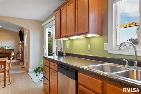 603 Willows Ave, Chatham, IL 62629 photo 19