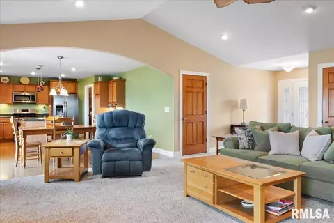 603 Willows Ave, Chatham, IL 62629 photo 12
