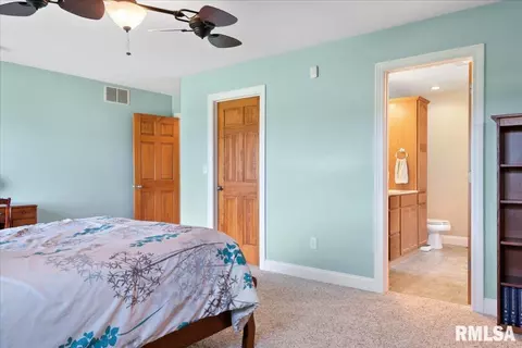 603 Willows Ave, Chatham, IL 62629 photo 25