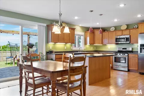 603 Willows Ave, Chatham, IL 62629 photo 15