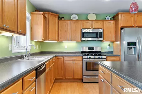603 Willows Ave, Chatham, IL 62629 photo 21