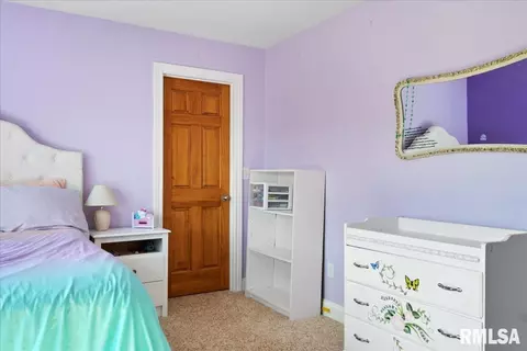 603 Willows Ave, Chatham, IL 62629 photo 29