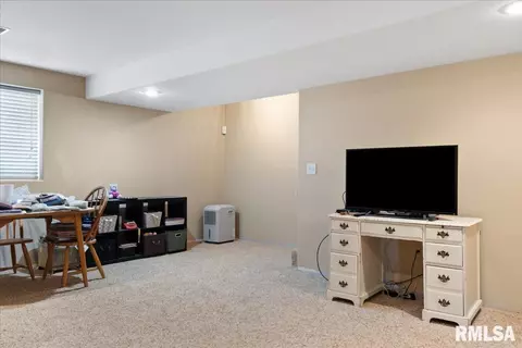 603 Willows Ave, Chatham, IL 62629 photo 36