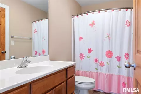 603 Willows Ave, Chatham, IL 62629 photo 33