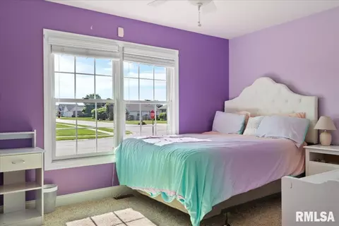 603 Willows Ave, Chatham, IL 62629 photo 28