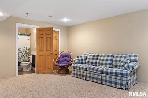 603 Willows Ave, Chatham, IL 62629 photo 34