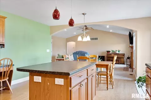 603 Willows Ave, Chatham, IL 62629 photo 20