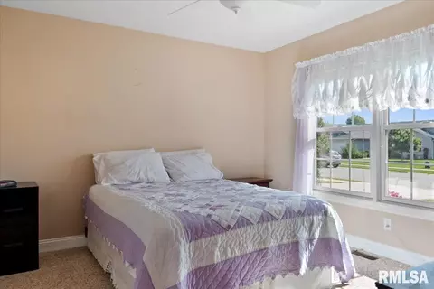 603 Willows Ave, Chatham, IL 62629 photo 31