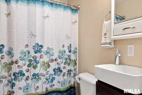 603 Willows Ave, Chatham, IL 62629 photo 37