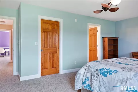603 Willows Ave, Chatham, IL 62629 photo 24