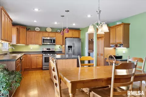 603 Willows Ave, Chatham, IL 62629 photo 14