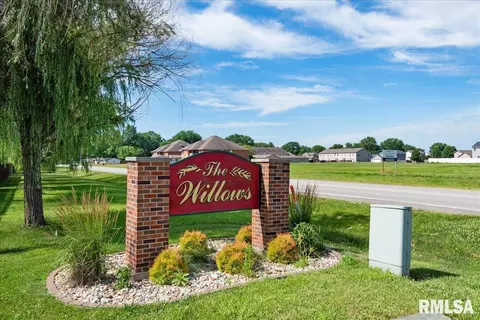 603 Willows Ave, Chatham, IL 62629 photo 6