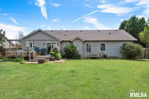 603 Willows Ave, Chatham, IL 62629 photo 40