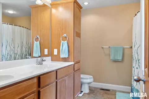 603 Willows Ave, Chatham, IL 62629 photo 26
