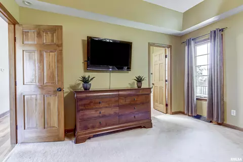 526 Eagle Ridge Dr, Chatham, IL 62629 photo 20
