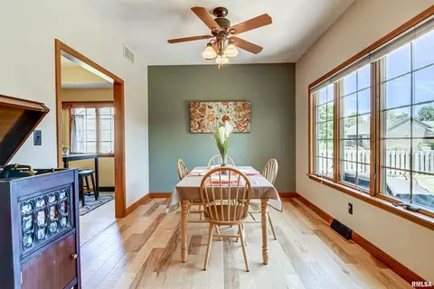526 Eagle Ridge Dr, Chatham, IL 62629 photo 9