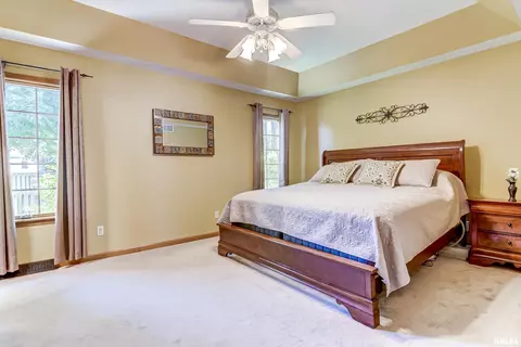 526 Eagle Ridge Dr, Chatham, IL 62629 photo 17