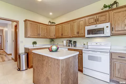 526 Eagle Ridge Dr, Chatham, IL 62629 photo 16