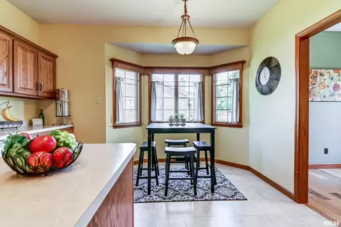 526 Eagle Ridge Dr, Chatham, IL 62629 photo 15