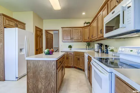 526 Eagle Ridge Dr, Chatham, IL 62629 photo 13