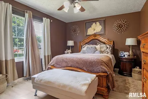 2909 Tanner Rd, Springfield, IL 62702 photo 15