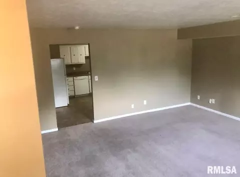 815 W Lawrence Ave, Springfield, IL 62704 photo 15