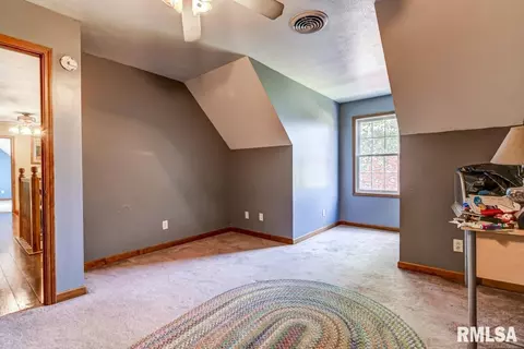 11445 Blue Oak Ln, Athens, IL 62613 photo 15