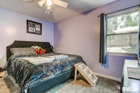 729 Helene St, Springfield, IL 62702 photo 5
