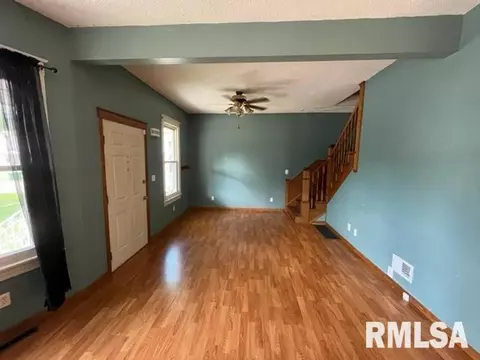 415 W Vine St, Springfield, IL 62704 photo 4