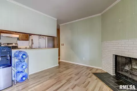 33 Drawbridge Rd, Springfield, IL 62704 photo 14