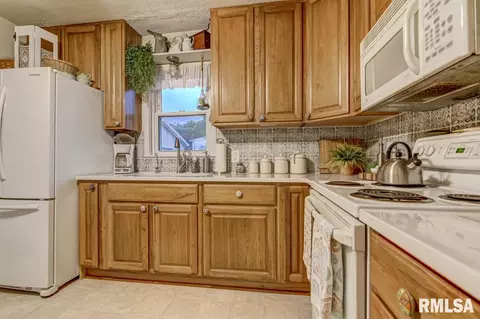 1528 W Selinger St, Springfield, IL 62702 photo 11