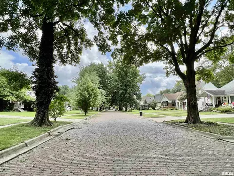 820 Loraine Ave, Springfield, IL 62704 photo 30