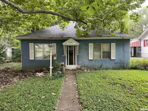 1328 N Ledlie Ave, Springfield, IL 62702 photo 23