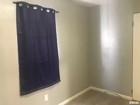 1219 E Knox Ave, Springfield, IL 62703 photo 11