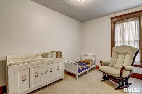 824 S Park Ave, Springfield, IL 62704 photo 36