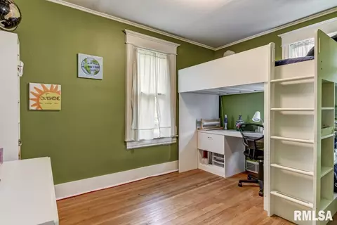 824 S Park Ave, Springfield, IL 62704 photo 32