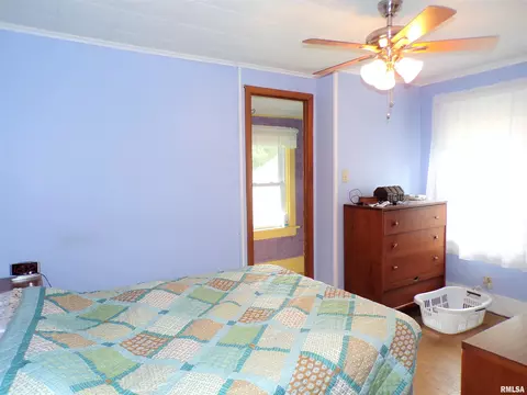 110 E Bruner St, Rio, IL 61472 photo 19