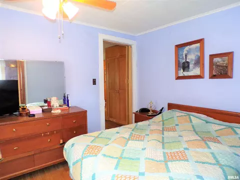 110 E Bruner St, Rio, IL 61472 photo 21