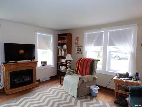 110 E Bruner St, Rio, IL 61472 photo 9