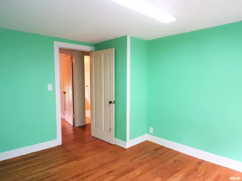 110 E Bruner St, Rio, IL 61472 photo 25
