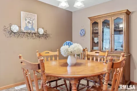 3104 La Conner Dr, Springfield, IL 62704 photo 17