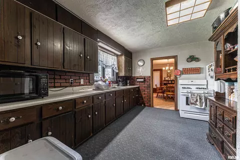 213 E Chester St, Chestnut, IL 62518 photo 8