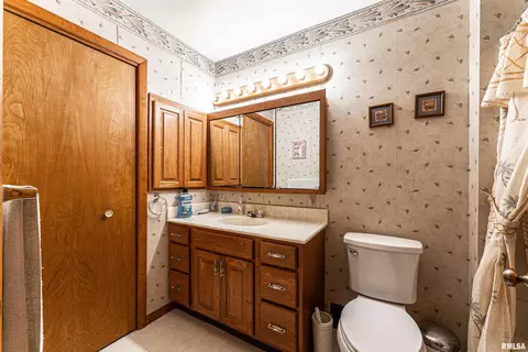213 E Chester St, Chestnut, IL 62518 photo 17