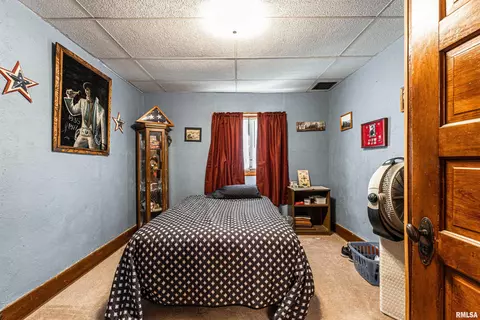 213 E Chester St, Chestnut, IL 62518 photo 13