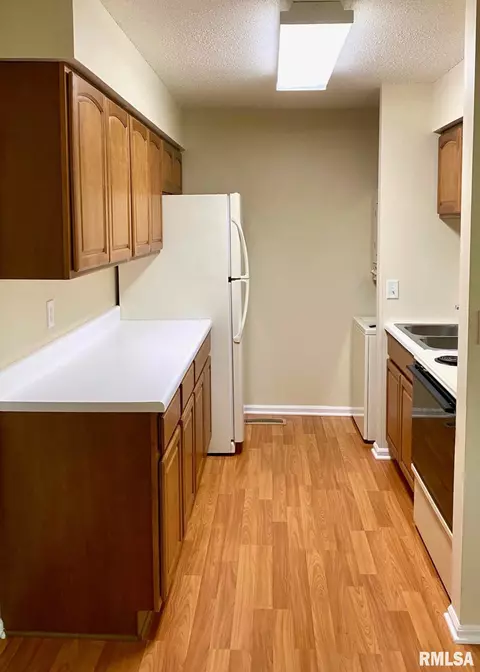 425 S Durkin Dr, Springfield, IL 62704 photo 9