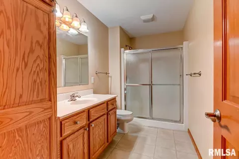 1200 Juniper Pl, Chatham, IL 62629 photo 18
