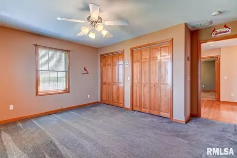 1200 Juniper Pl, Chatham, IL 62629 photo 19