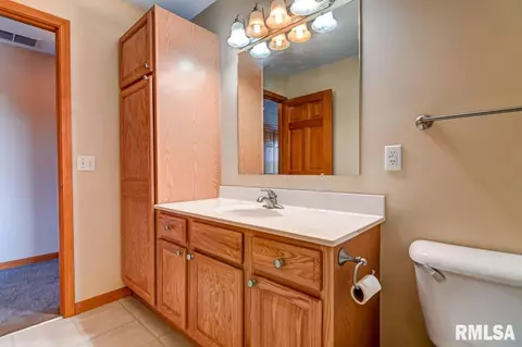 1200 Juniper Pl, Chatham, IL 62629 photo 17