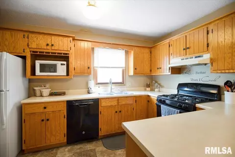 1100 Bolin Ct, Springfield, IL 62703 photo 5